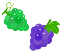 Grape (Grape)-Muscat