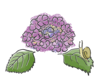 手绘风格的紫阳花和蜗牛