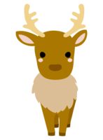Cute reindeer