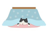 Cat sleeping with a kotatsu