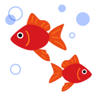 金魚