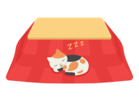 睡在被炉里的猫