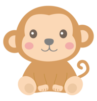 Cute monkey sitting
