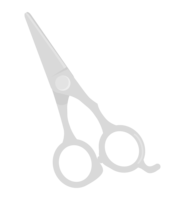 Beauty scissors