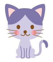 Cute blue-purple cat