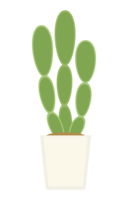 Cactus-Houseplant