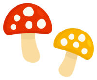 五彩缤纷的蘑菇