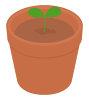 植木鉢と芽