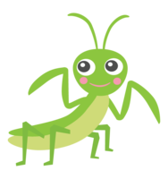 Mantis with a cute smile