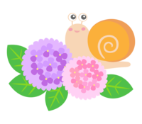 Snail and hydrangea