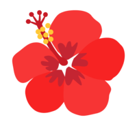 红色的一朵扶桑花