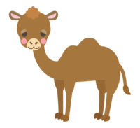 Cute camel