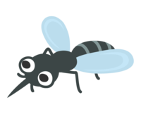 Cute mosquito