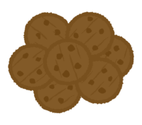 チョコクッキー