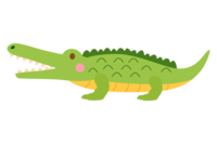 Cute crocodile