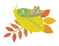 Autumn leaves and grasshopper
