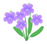 Spring-Violet flower