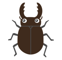 Cute stag beetle