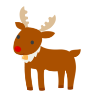 Red nose reindeer
