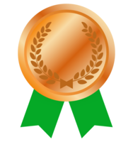 Bronze medal with ribbon