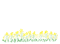 手書き風の菜の花の下段フレーム-飾り枠