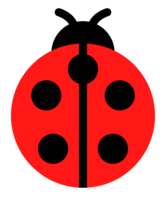 Ladybug