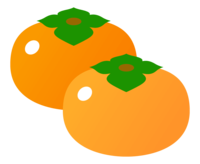 Persimmon (2 pieces)