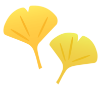 Ginkgo biloba