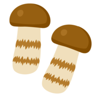 Matsutake mushroom