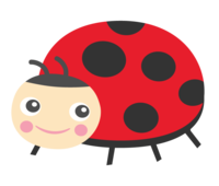 Cute ladybird