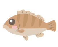 Cute rockfish