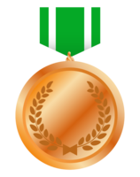 Medal (bronze)