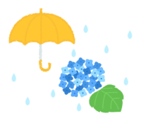 梅雨-紫陽花(あじさい)と雨