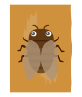 木にとまっているかわいい蝉(セミ)