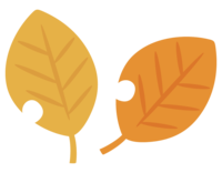 Autumn leaves-Dead leaves