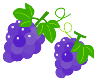 葉っぱが付いたぶどう(葡萄)