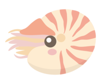 Cute nautilus