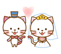かわいい猫の新郎新婦