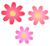 コスモスの花びら