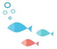 Cute fish