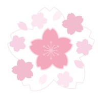 白と薄いピンク色の桜