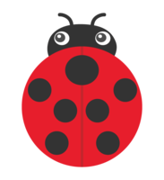 Ladybird