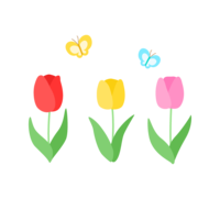 3 tulips and butterfly