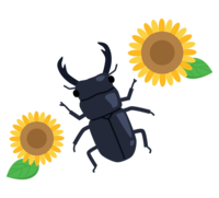 Sunflower and stag beetle