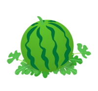 Watermelon and leaves