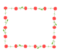 Carnation box frame-frame