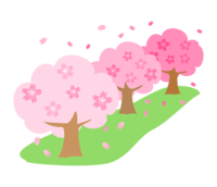 Row of cherry blossom trees