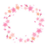 ふんわりとした桜の花と蕾の円形フレーム-枠