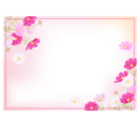 Cosmos (Akisakura) pink fluffy square frame-frame