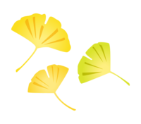 3 ginkgo leaves